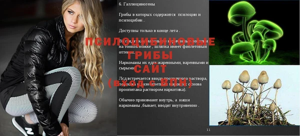 молекула духа Алагир