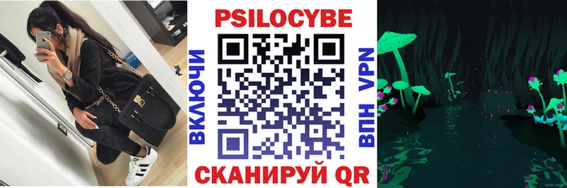 дарнет шоп  Нахабино  Псилоцибиновые грибы Magic Shrooms 